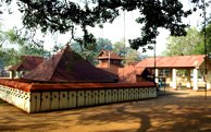 kerala-jewish-heritage-tour