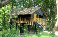 kerala-jewish-heritage-tour